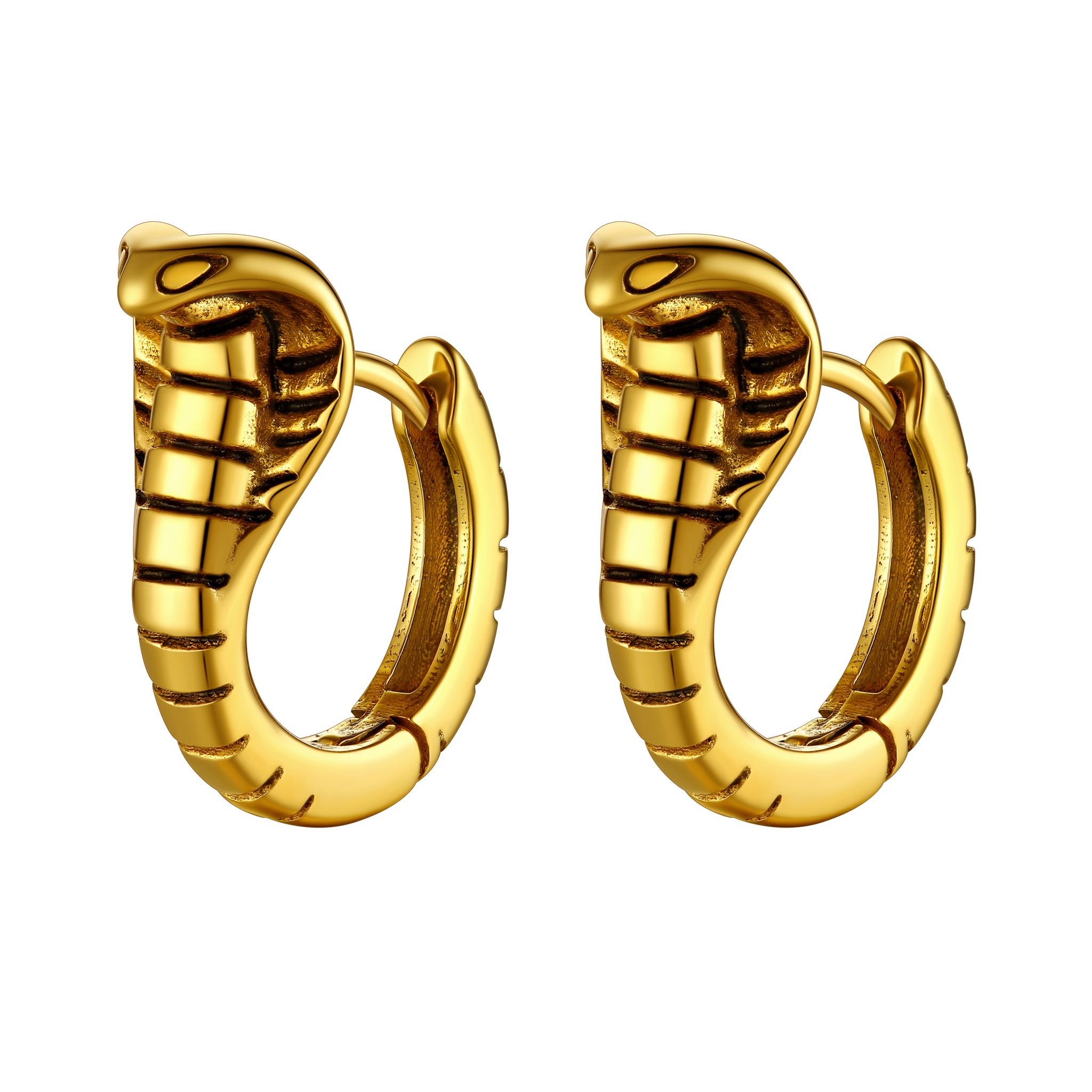 Gothic Punk Snake Hoop Earrings for Men Women